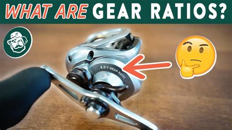 retro reels|best gear ratio for baitcaster.